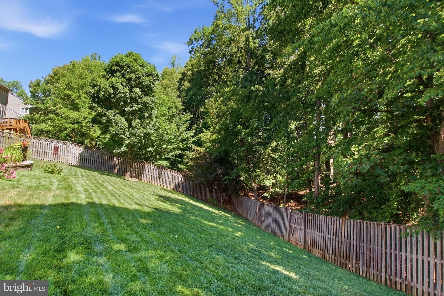 3646 Thomasson Crossing Drive photo 61