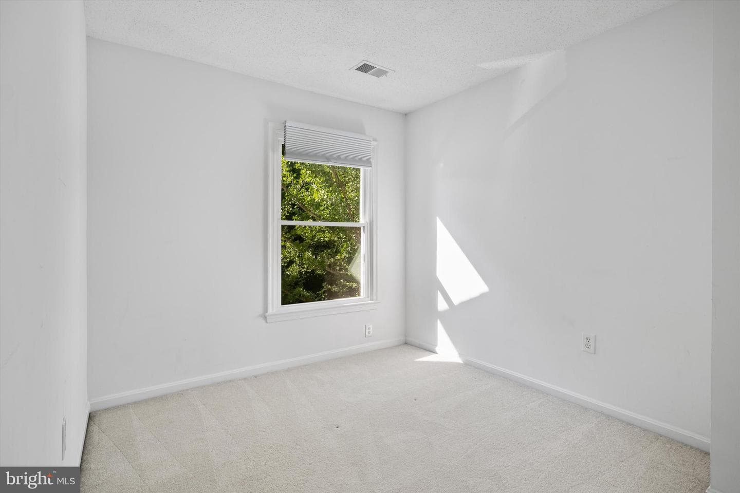 11565 Hill Meade Lane photo 15