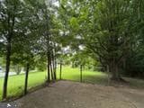 5561 Rowser photo 31