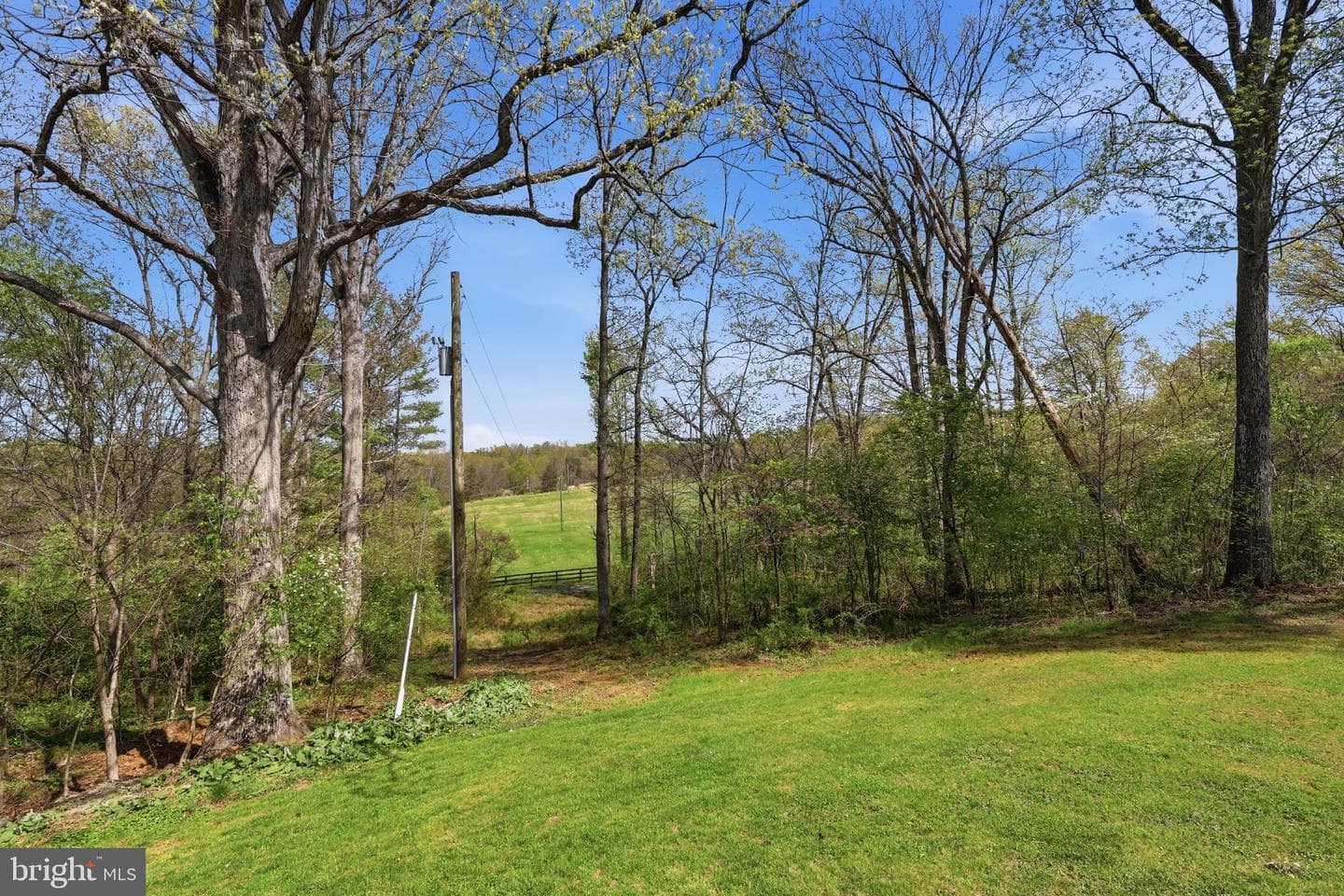 1699 James Madison Highway photo 35