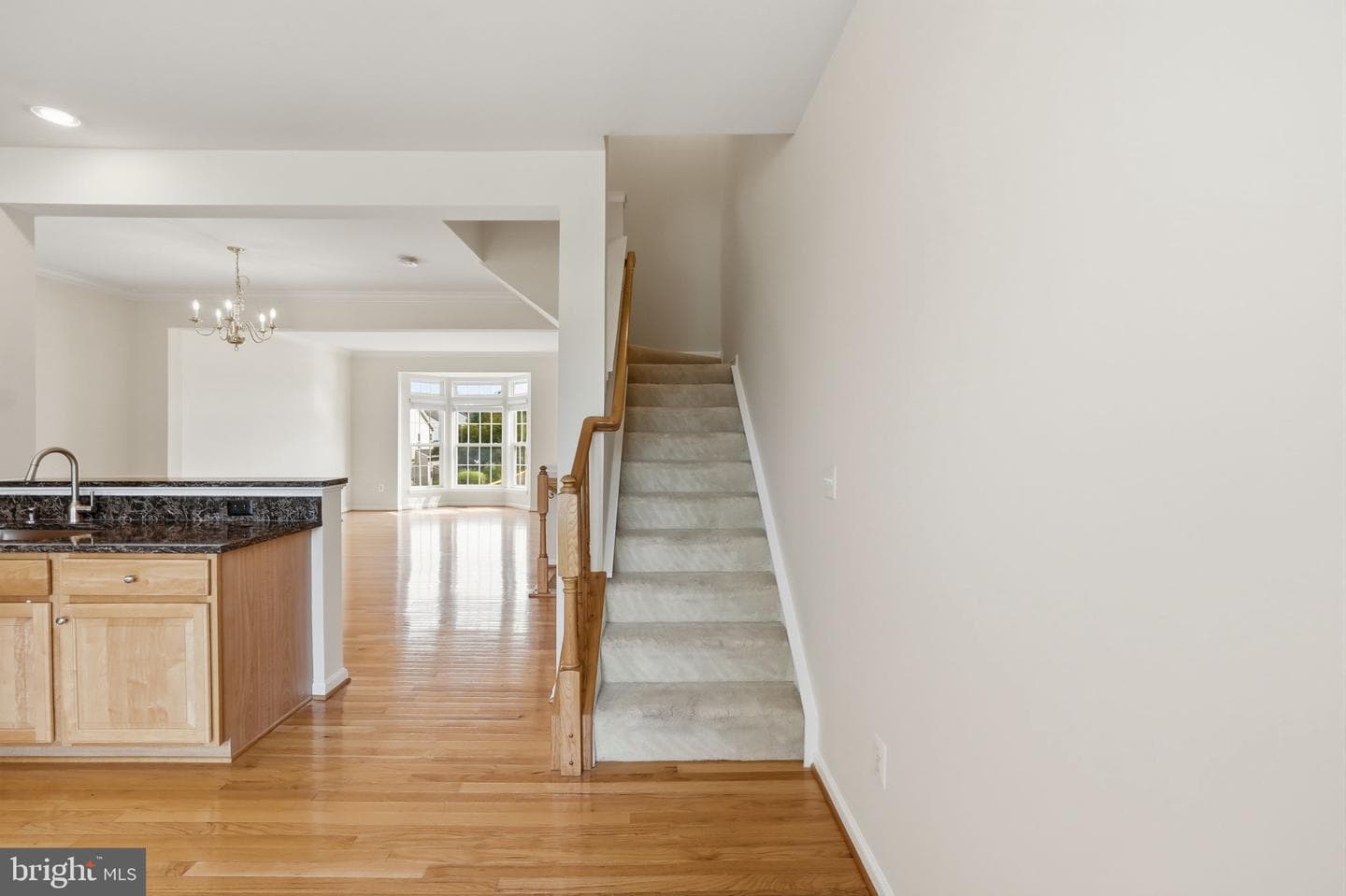 15054 Danehurst Circle photo 26