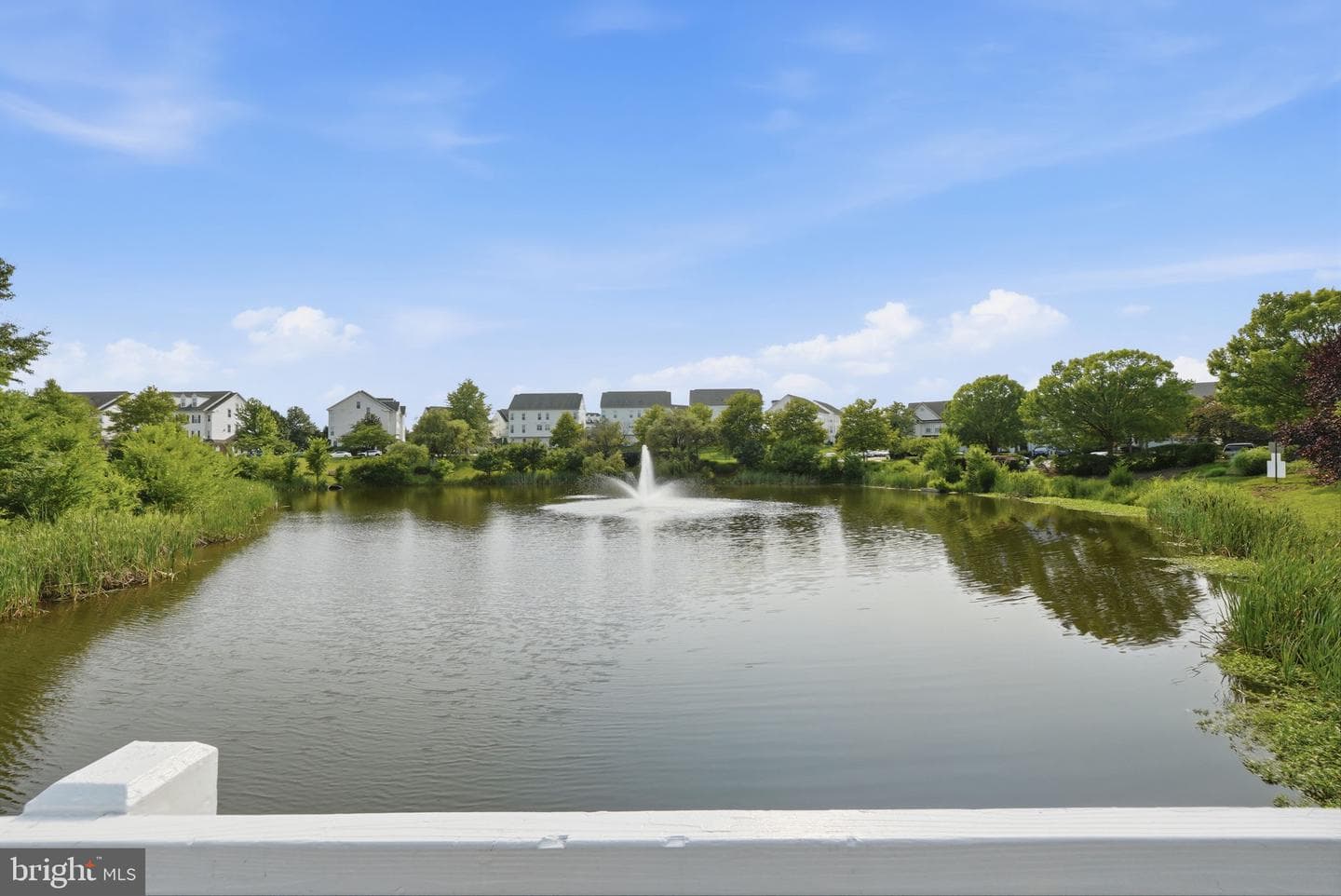 15054 Danehurst Circle photo 49