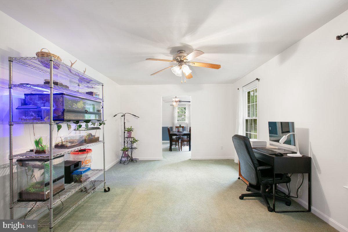 6716 River Road photo 7