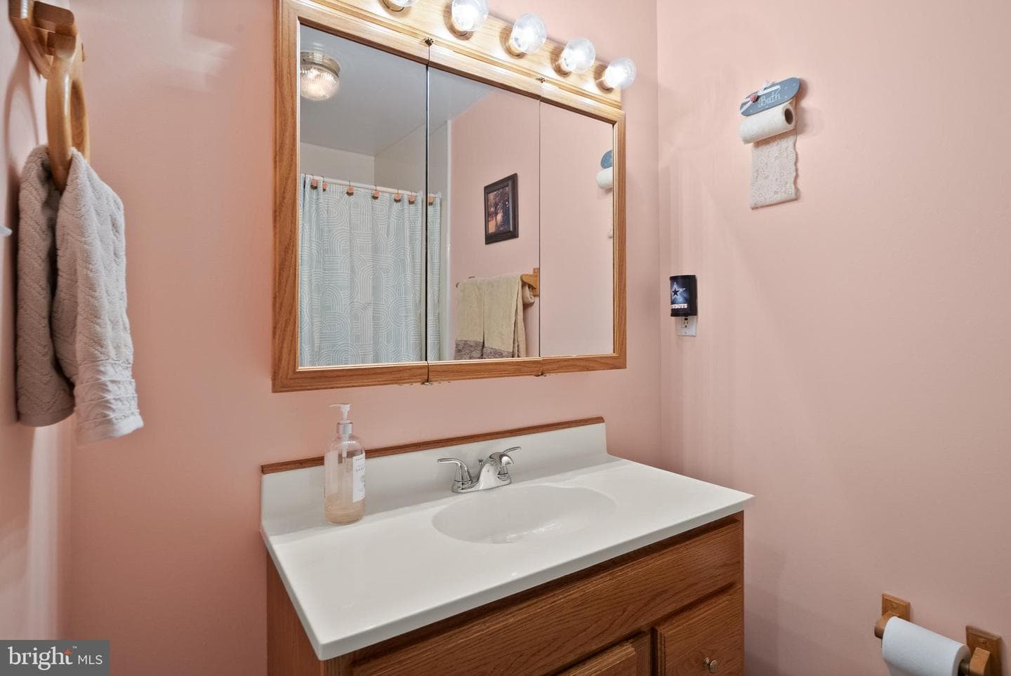 10324 Winged Elm Circle photo 64