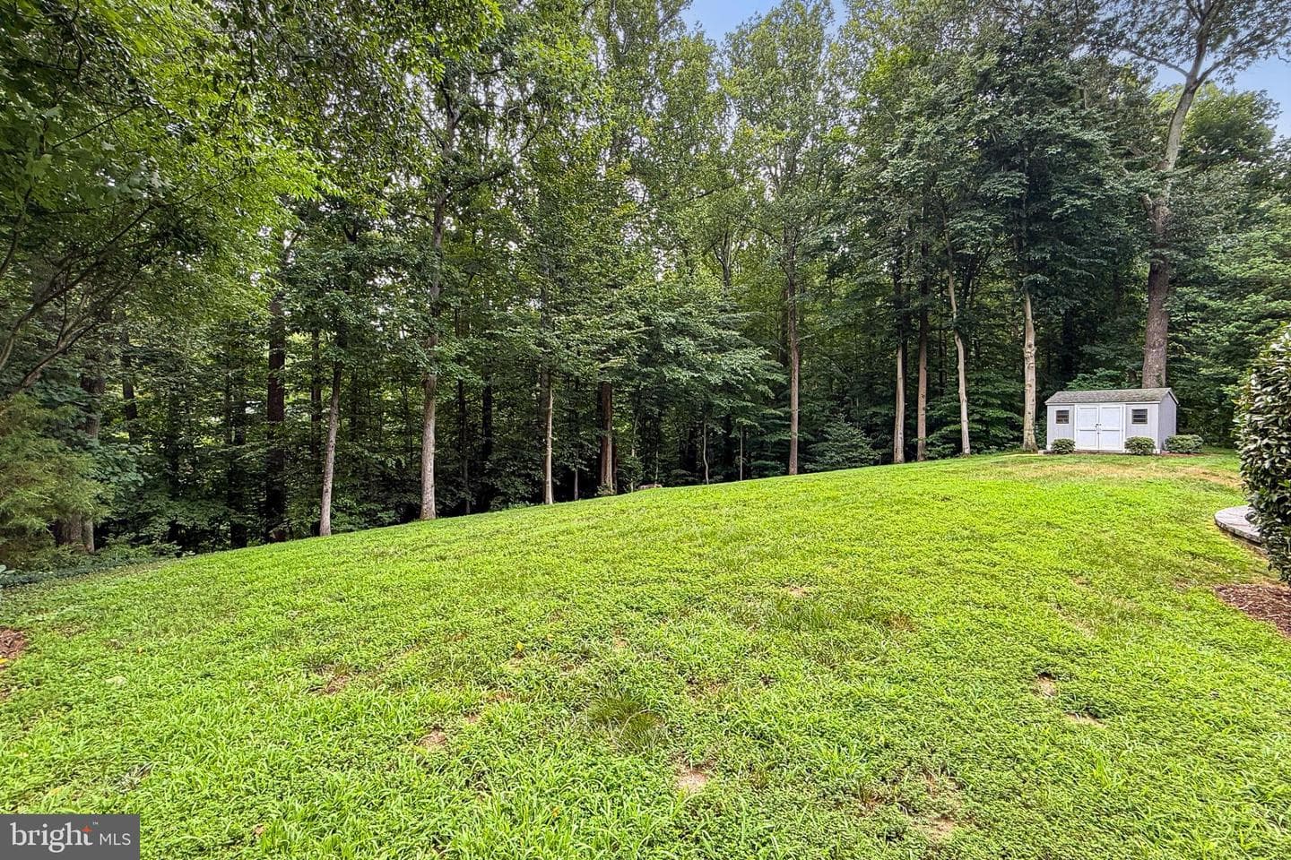 11547 Arrington Court photo 46
