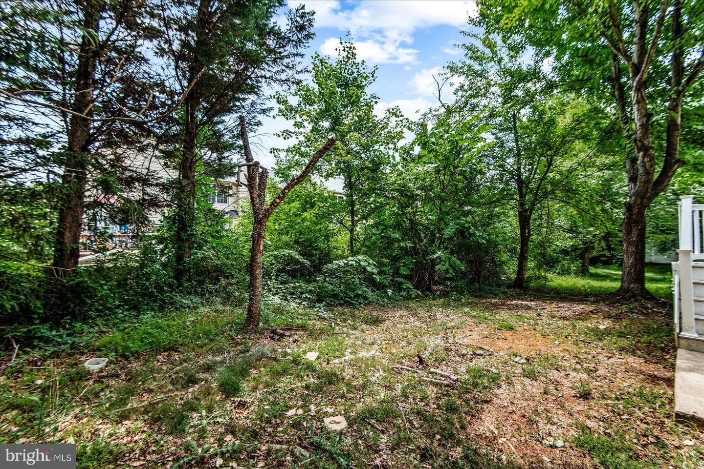 4505 Shotwell Court photo 52