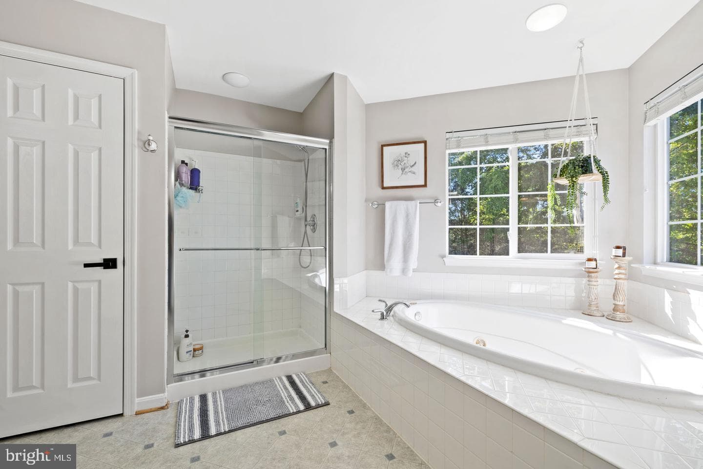 10274 Horizon View Court photo 38