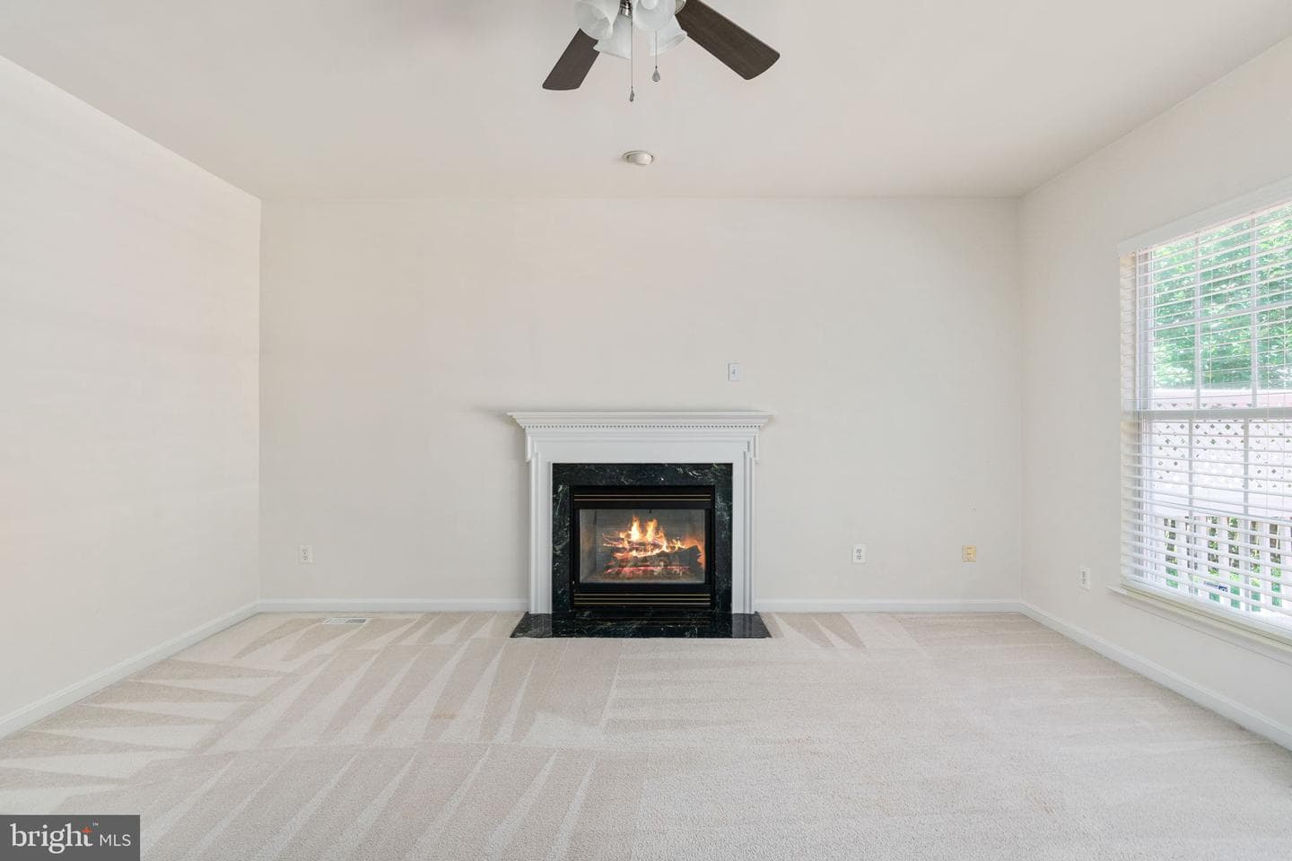 10012 Darnaway Court photo 13