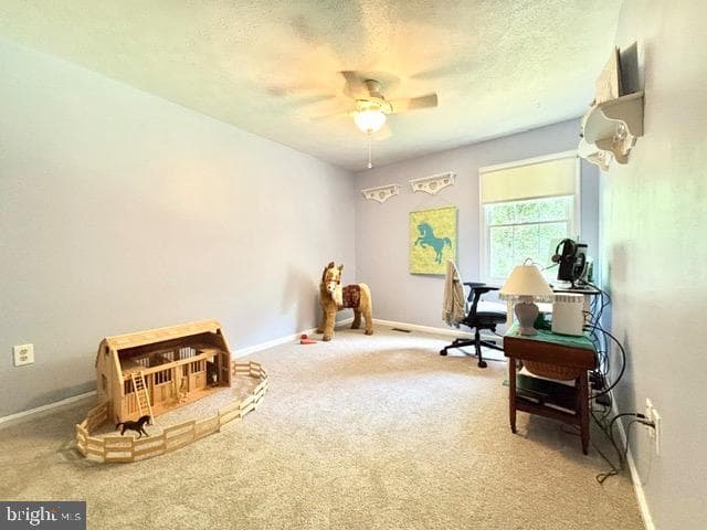 6512 Basil Court photo 20