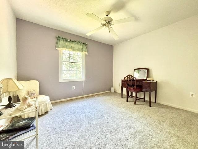 6512 Basil Court photo 22