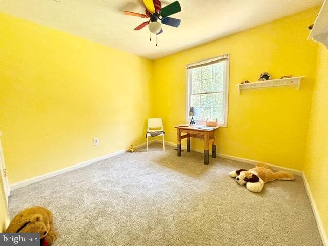 6512 Basil Court photo 23