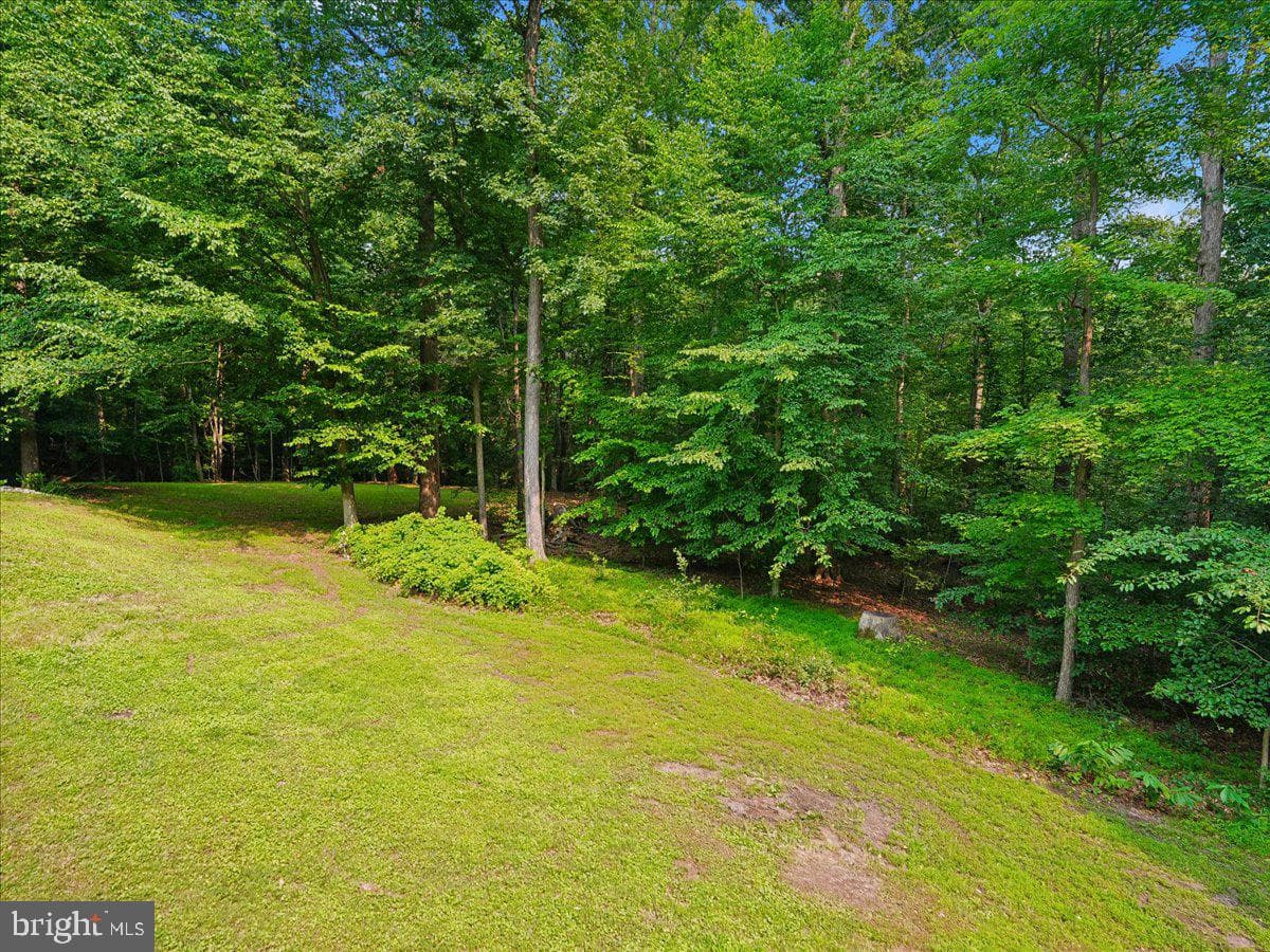 8253 Honeysuckle Road photo 12