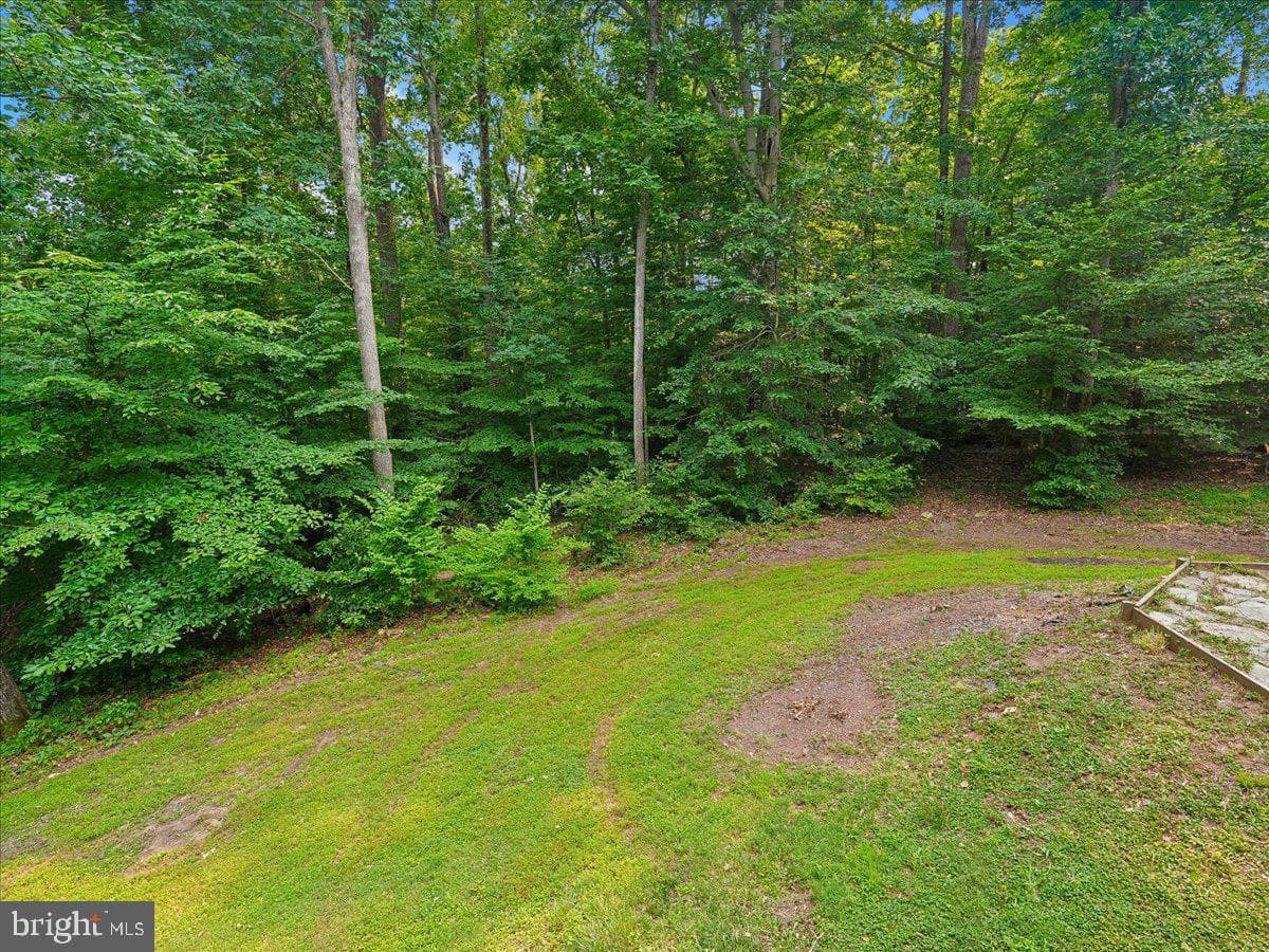 8253 Honeysuckle Road photo 13