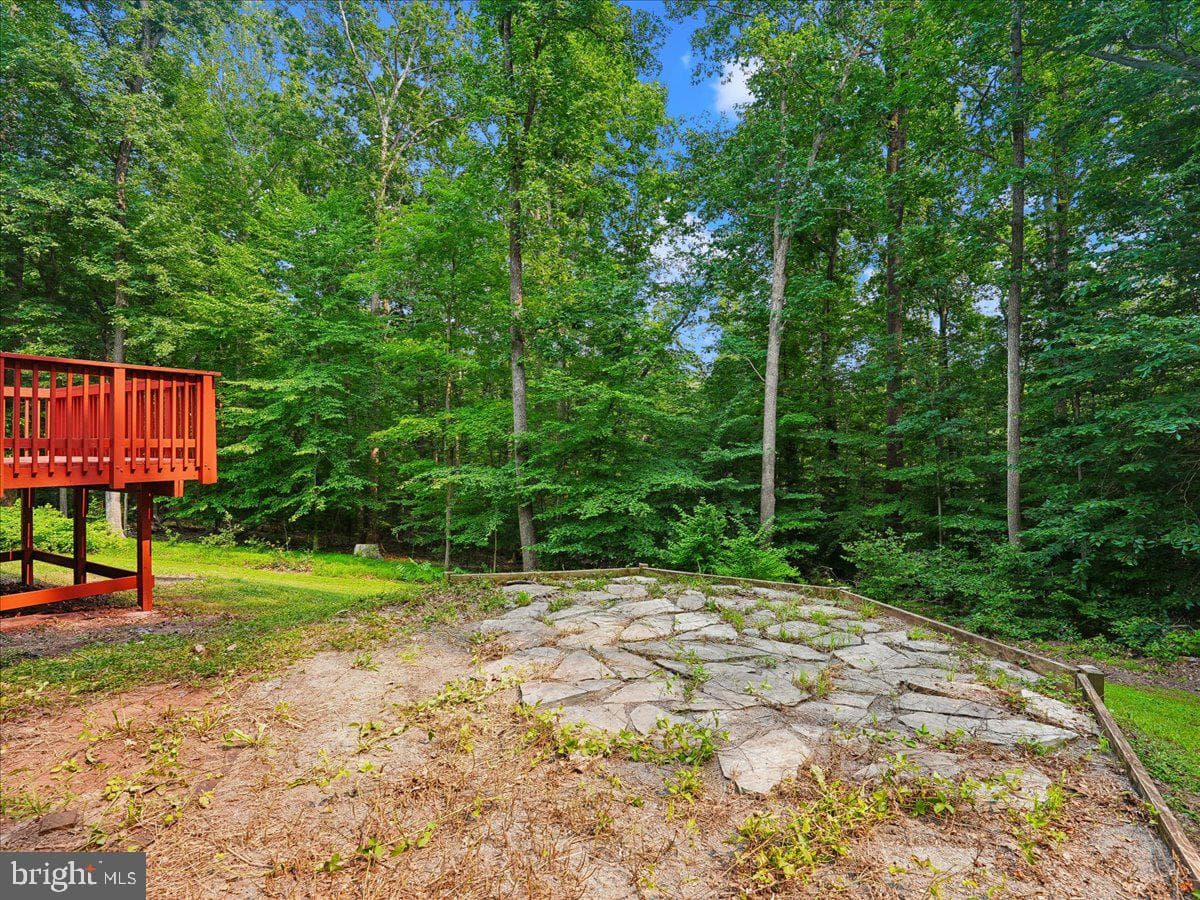 8253 Honeysuckle Road photo 14