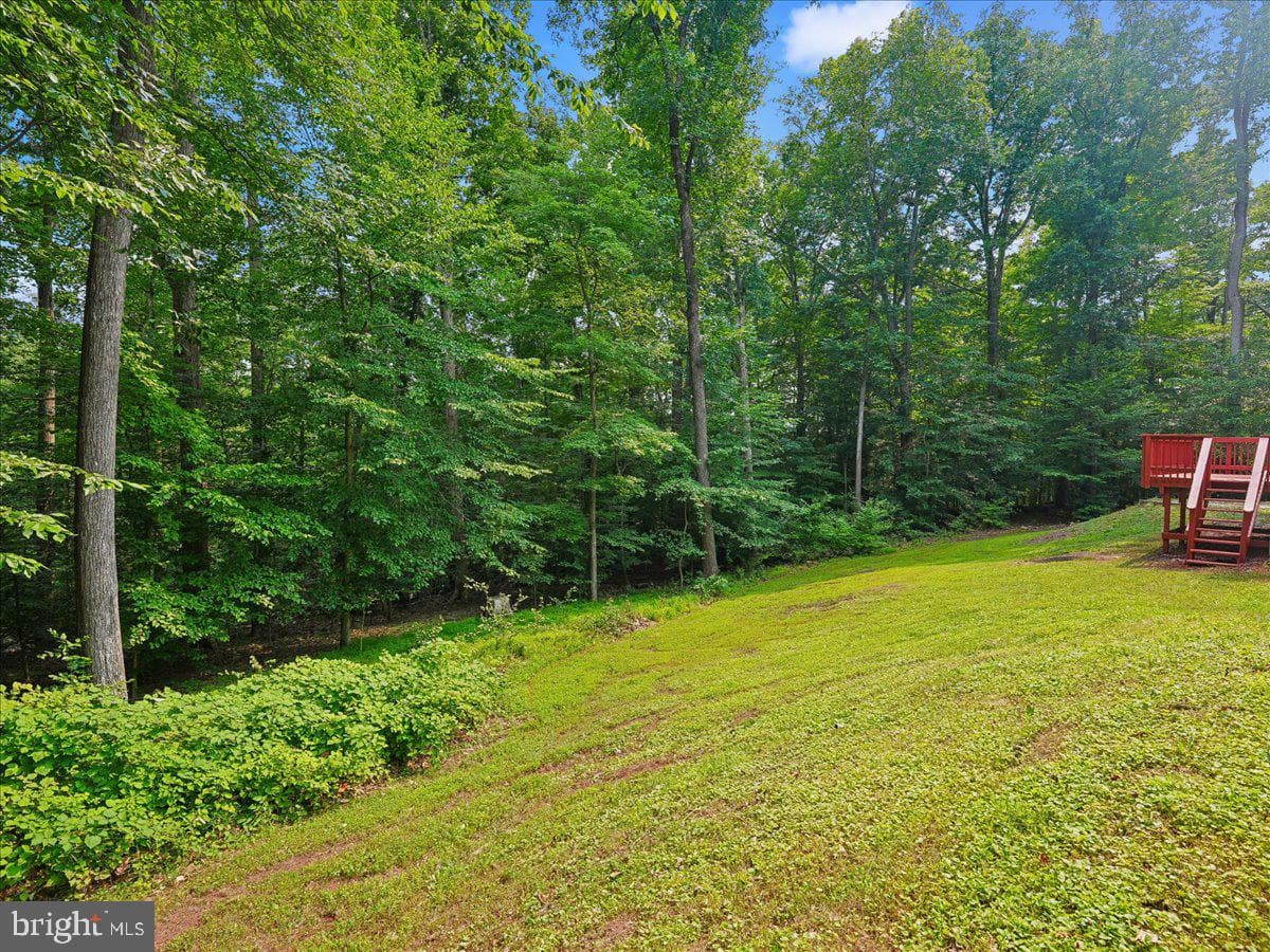 8253 Honeysuckle Road photo 8