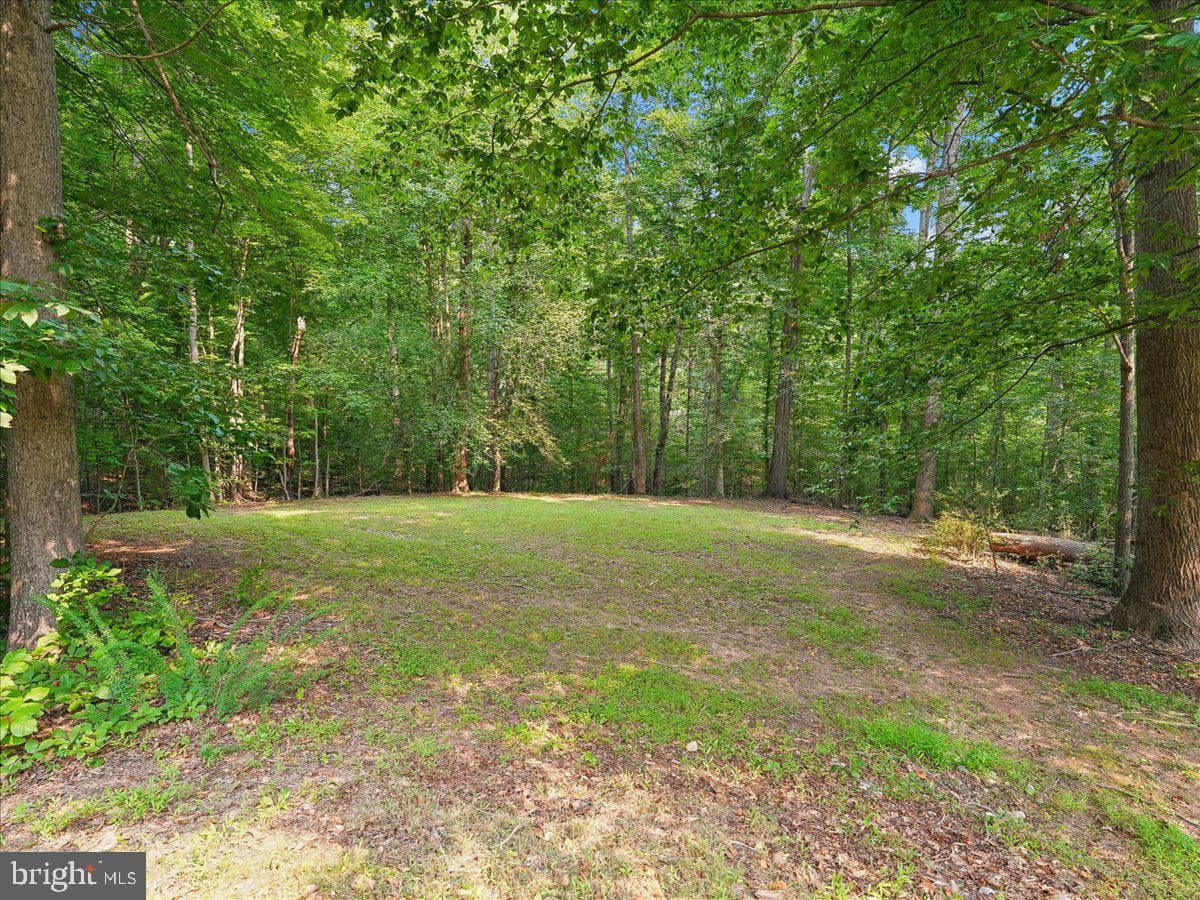 8253 Honeysuckle Road photo 9