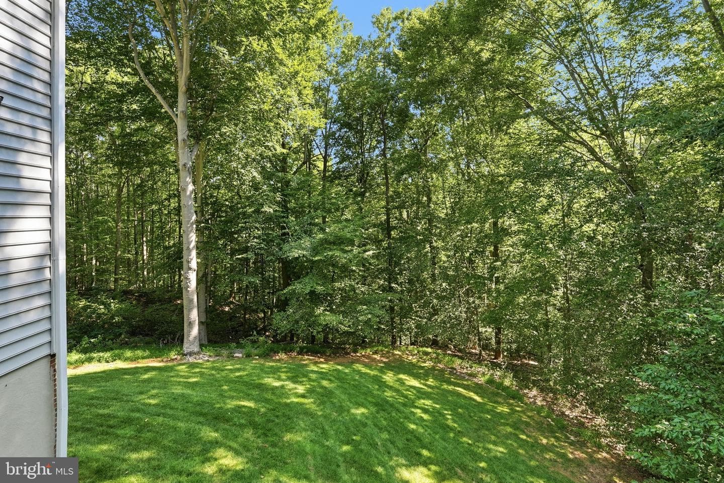 11211 Caisson Court photo 66