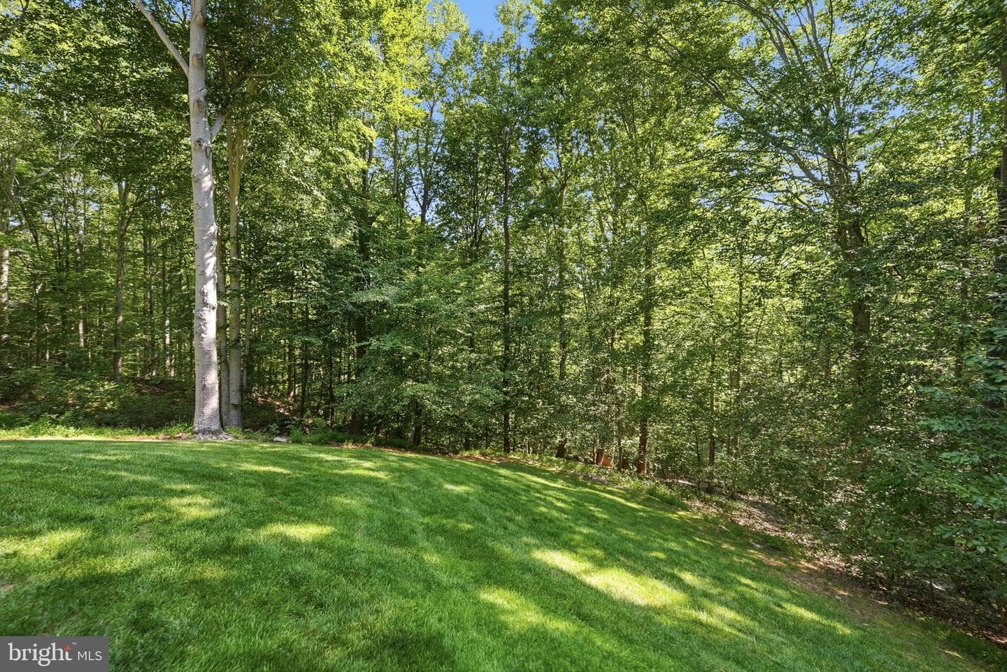 11211 Caisson Court photo 72