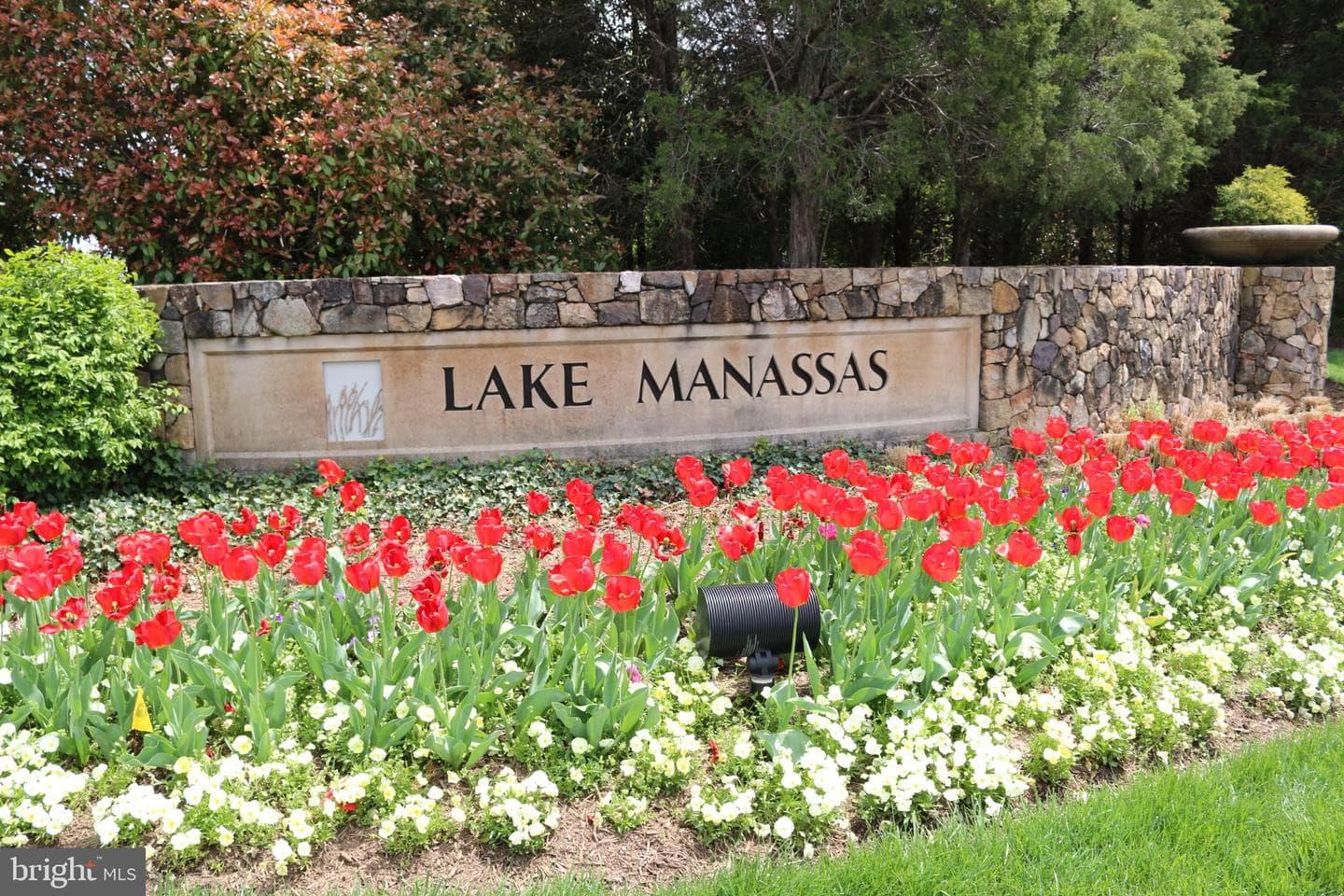 15006 Ransom Oaks Court photo 46