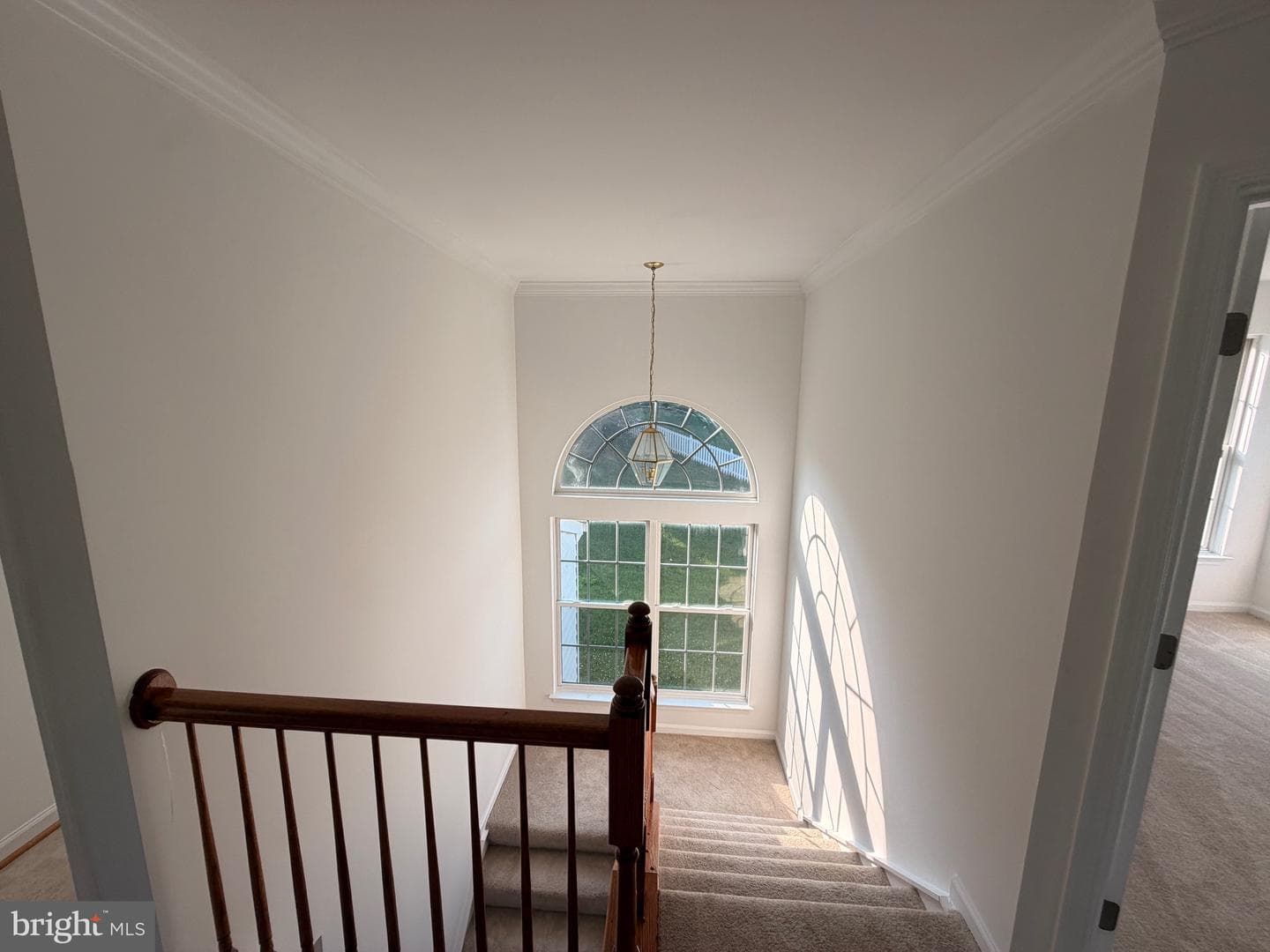 6542 Ashby Grove Loop photo 18