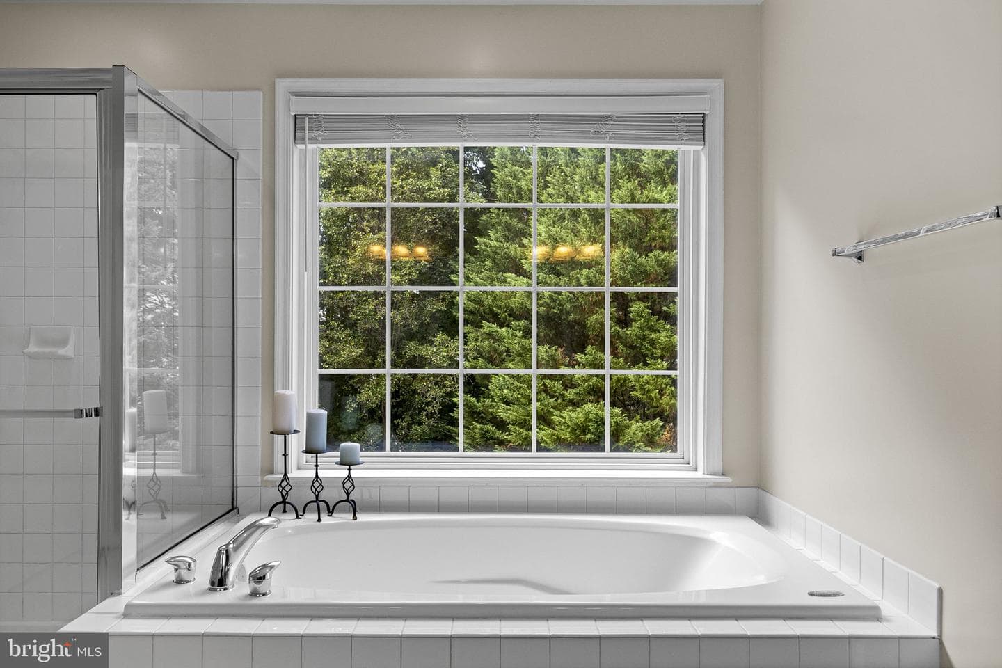 15092 Stepping Stone Drive photo 61