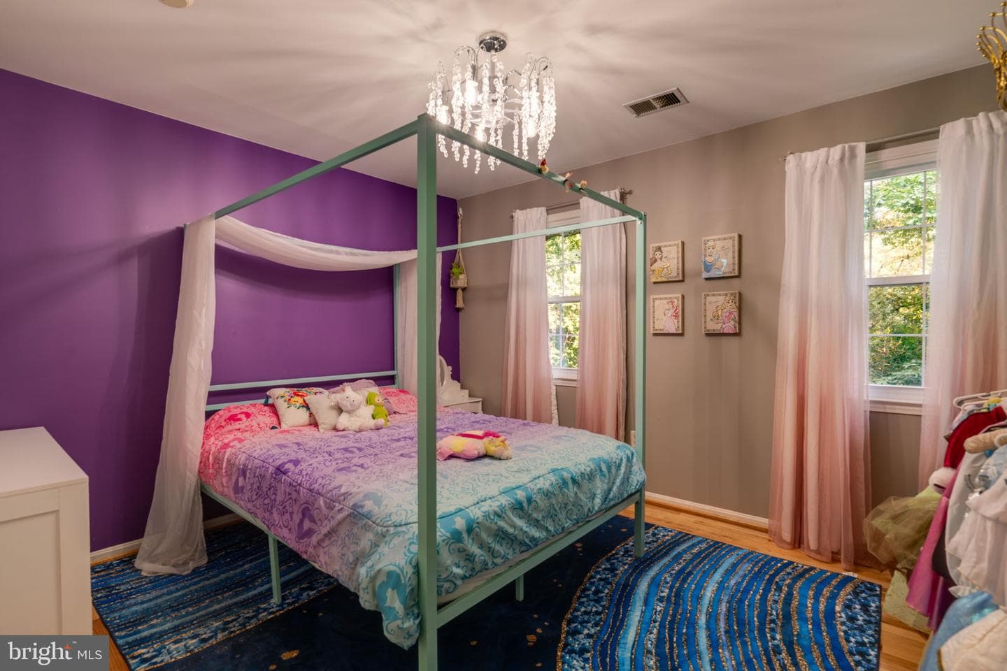 13402 Carrageen Drive photo 33
