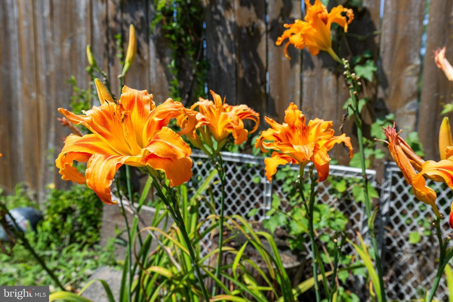 13803 Knowles Street photo 38