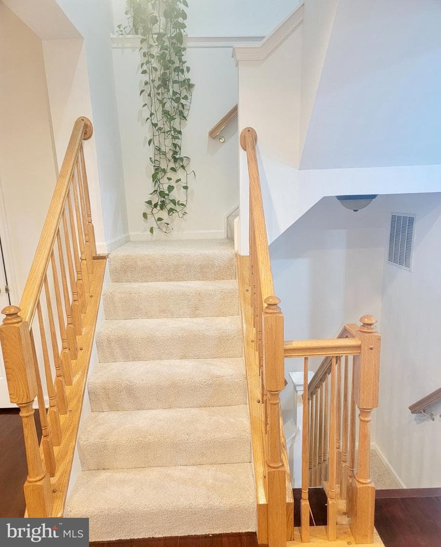 14410 Hulfish Way photo 29