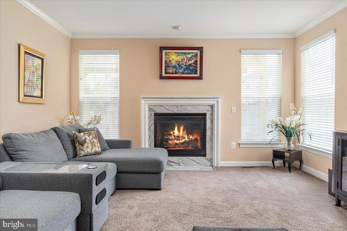 12137 Hickory Falls Court photo 21