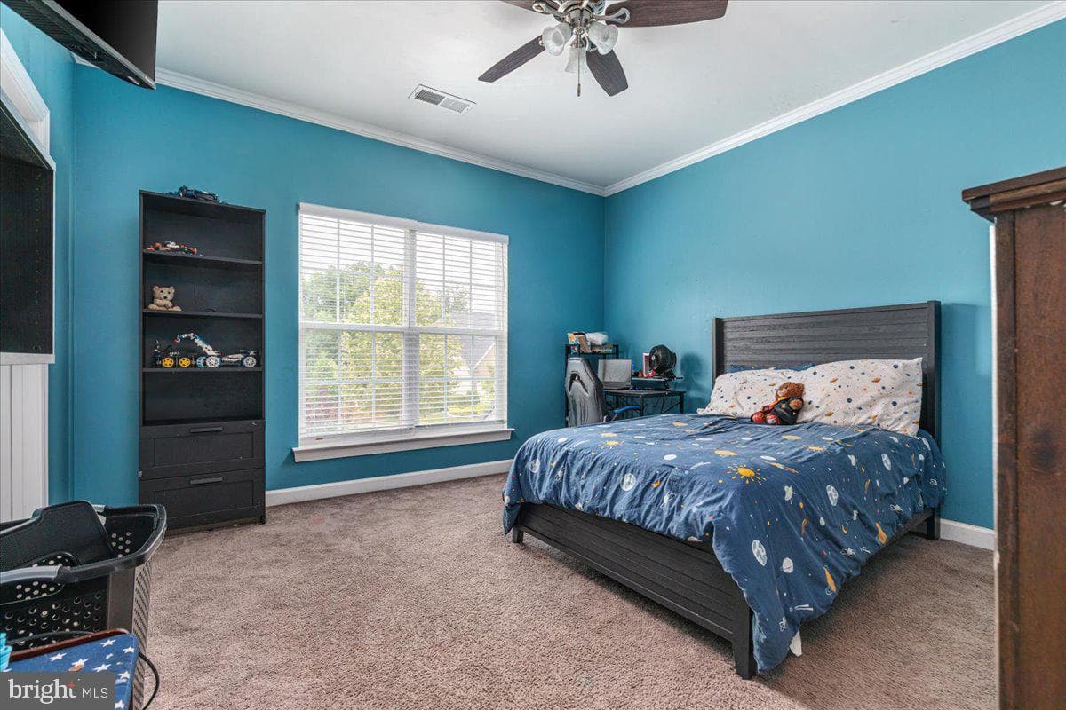 12137 Hickory Falls Court photo 48