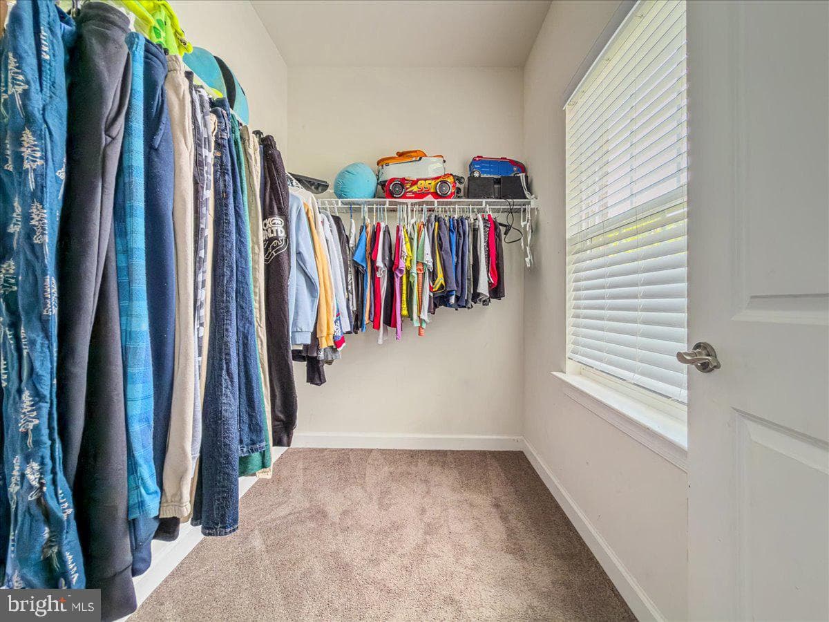 12137 Hickory Falls Court photo 50
