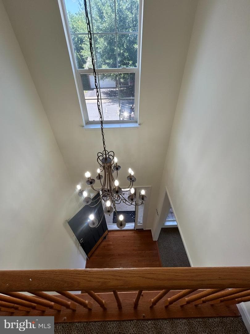 14361 Fallsmere Circle photo 5