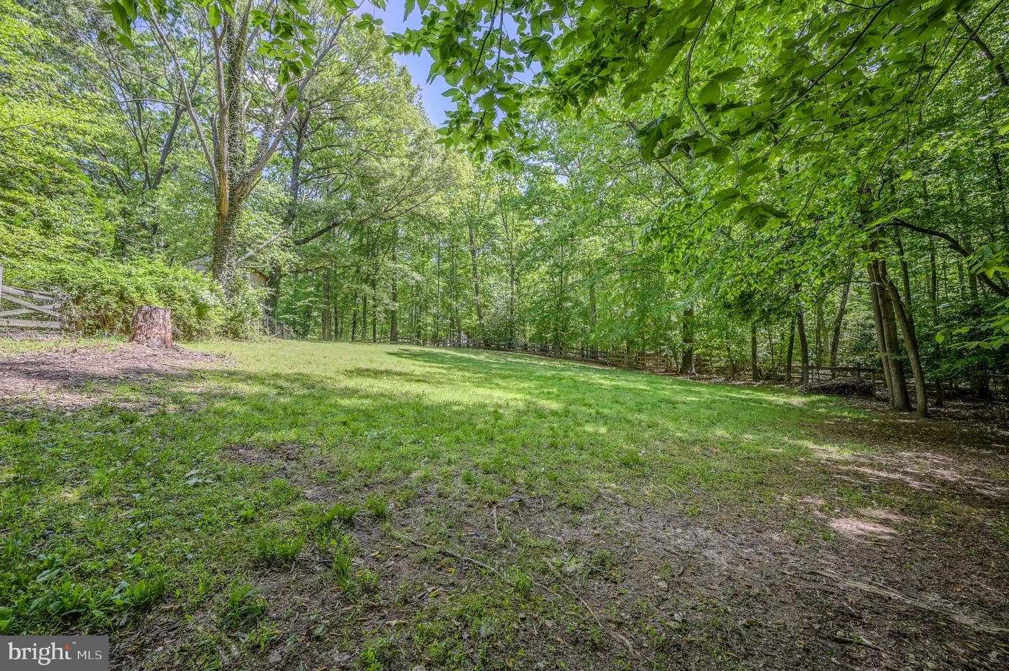 12510 Basswood Drive photo 11