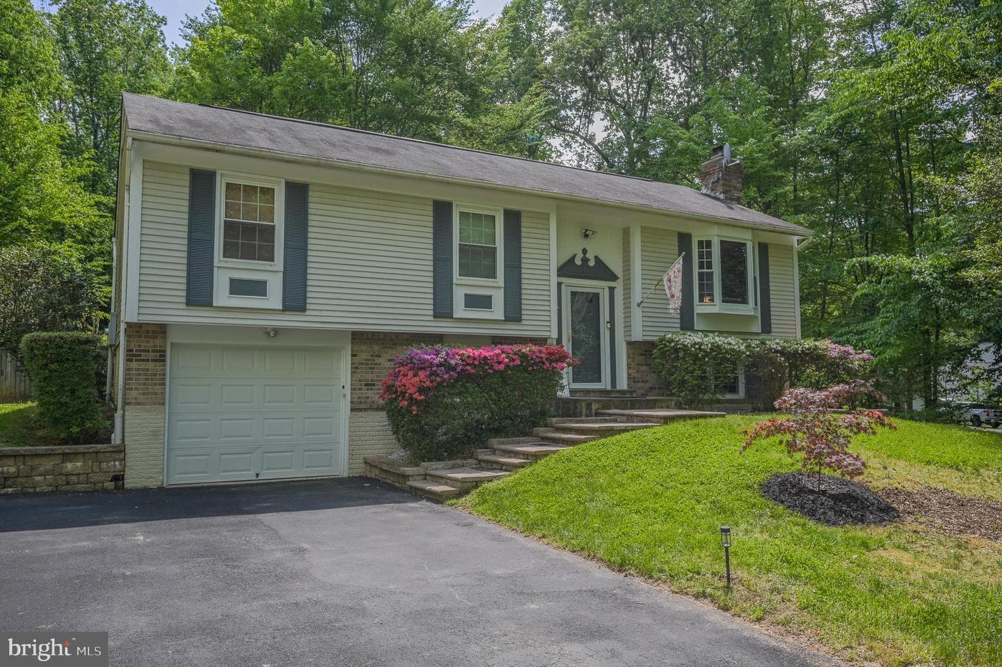 12510 Basswood Drive photo 2