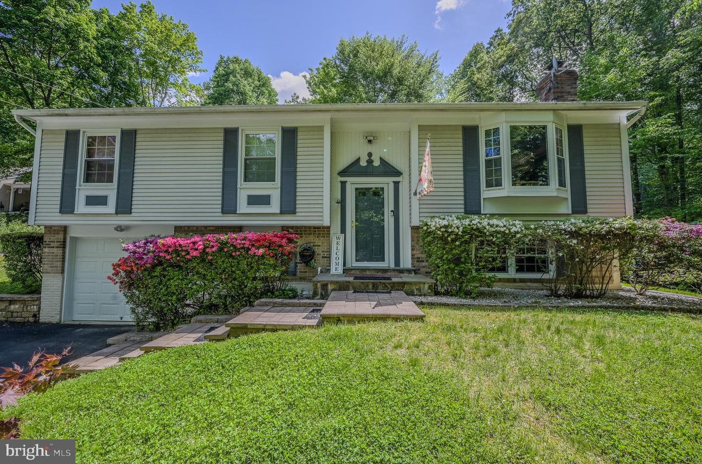 12510 Basswood Drive photo 3