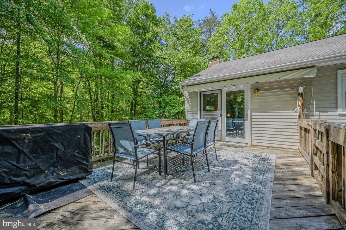 12510 Basswood Drive photo 8