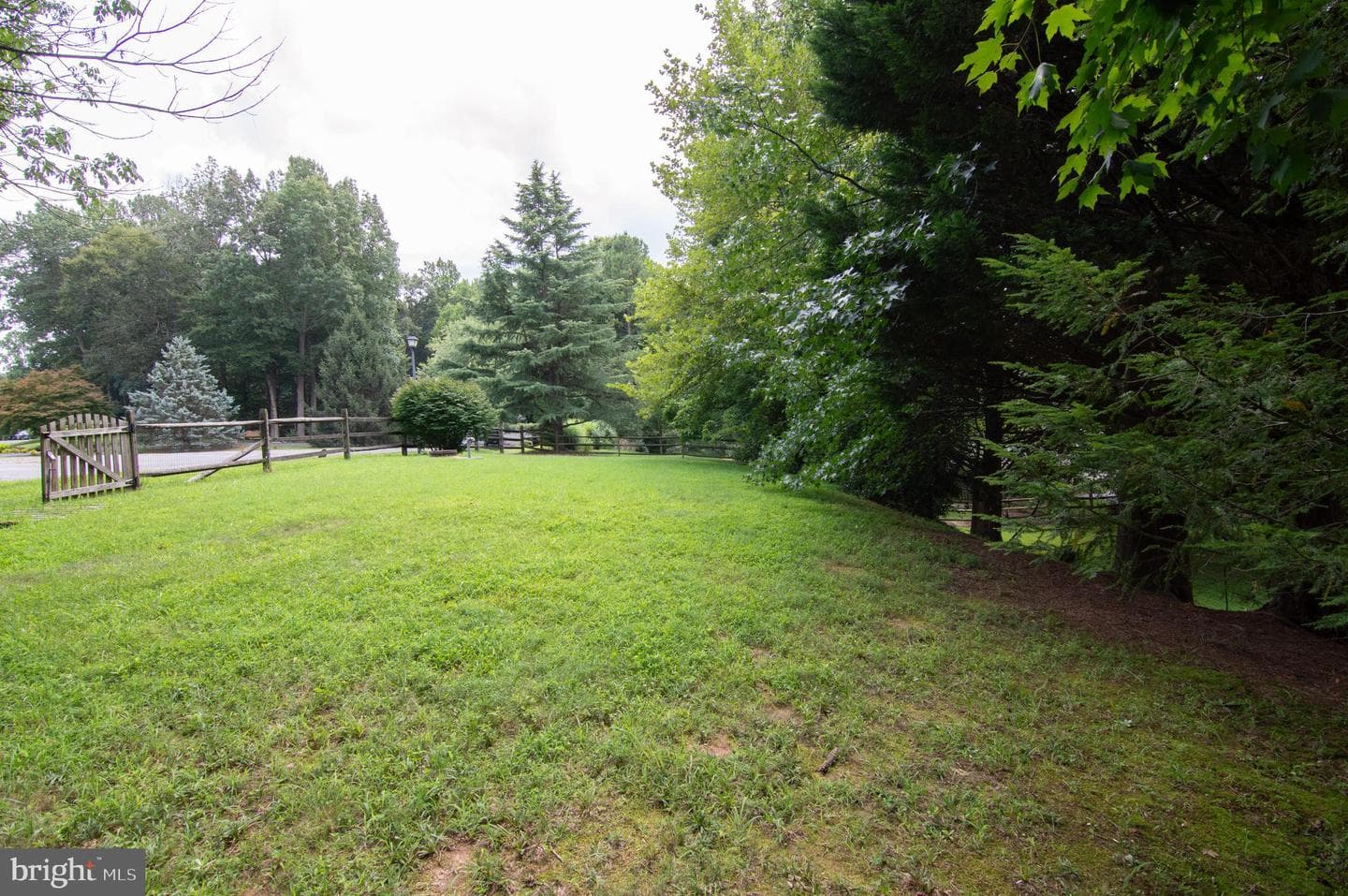 13017 Champlain Drive photo 12