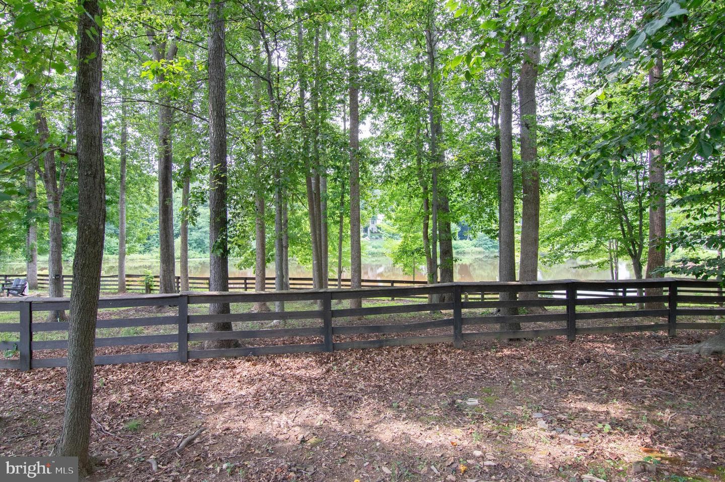 13017 Champlain Drive photo 15