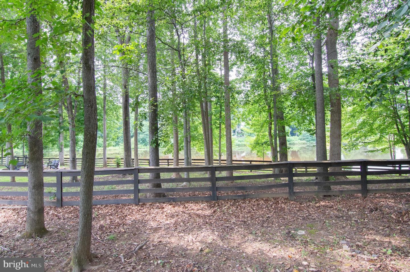 13017 Champlain Drive photo 16