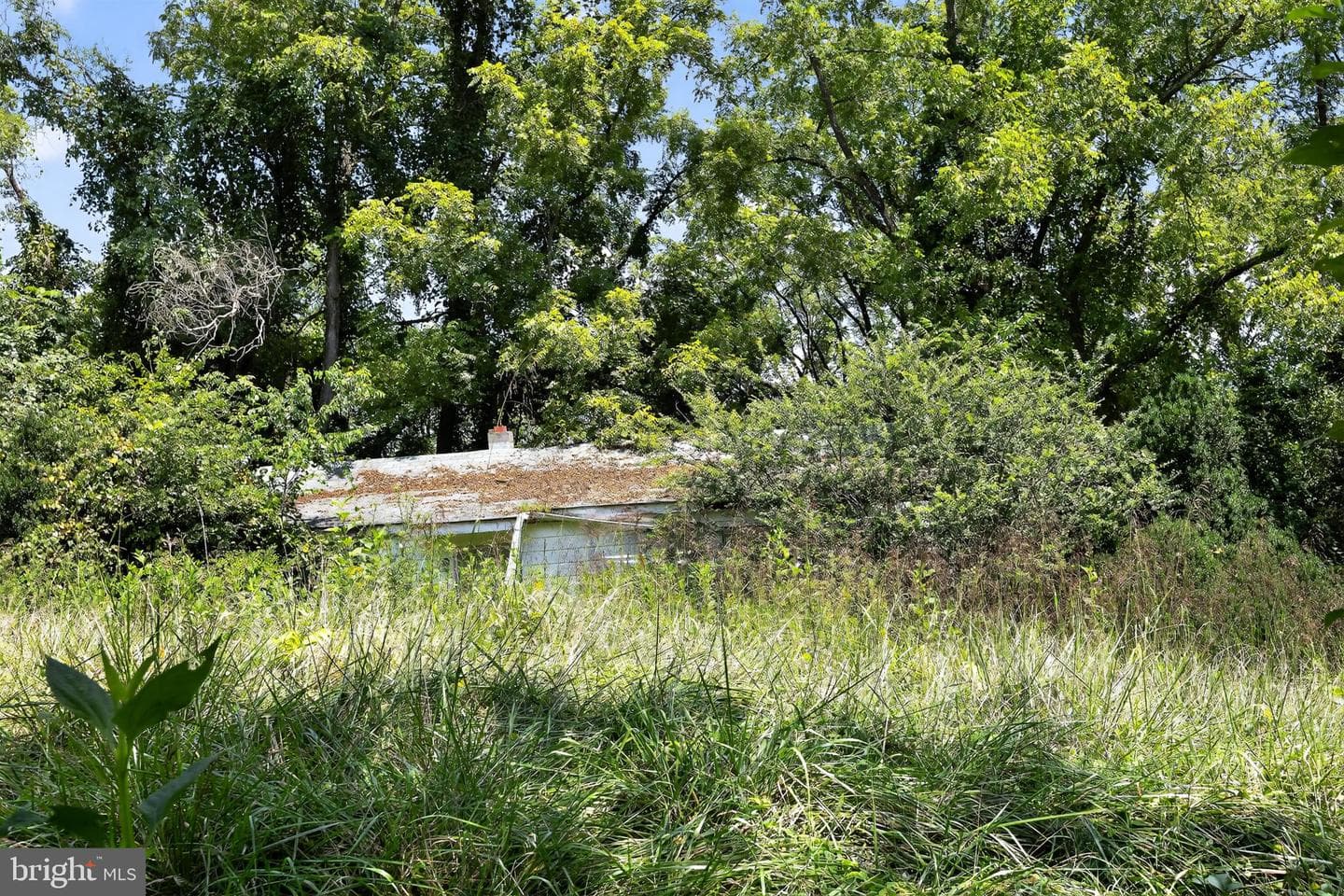 115 Grandview Drive photo 15