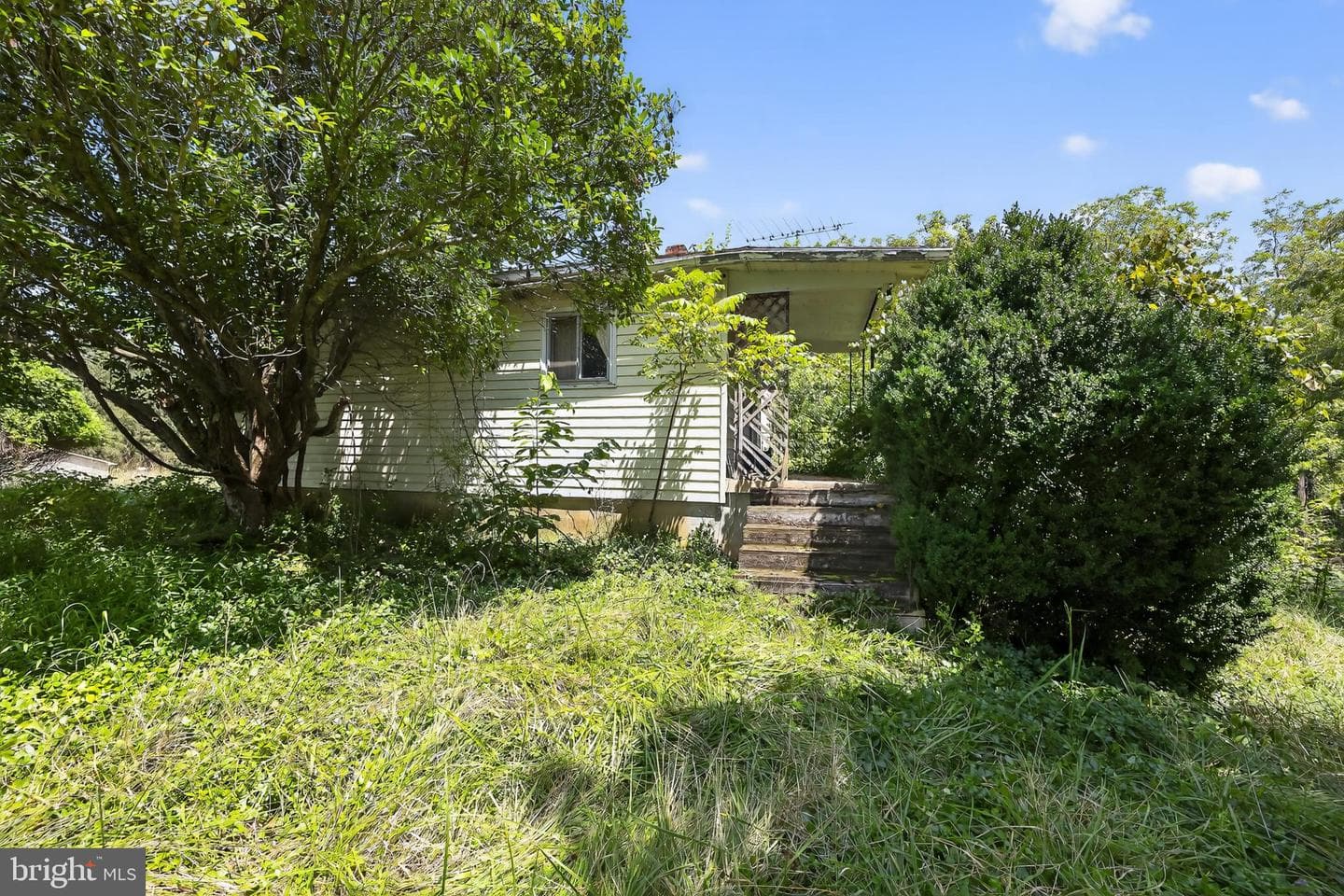 115 Grandview Drive photo 3