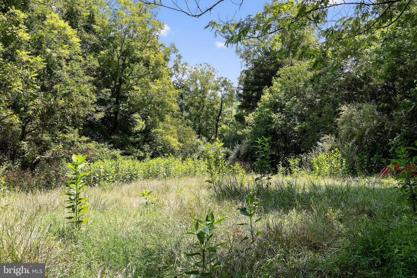 115 Grandview Drive photo 38