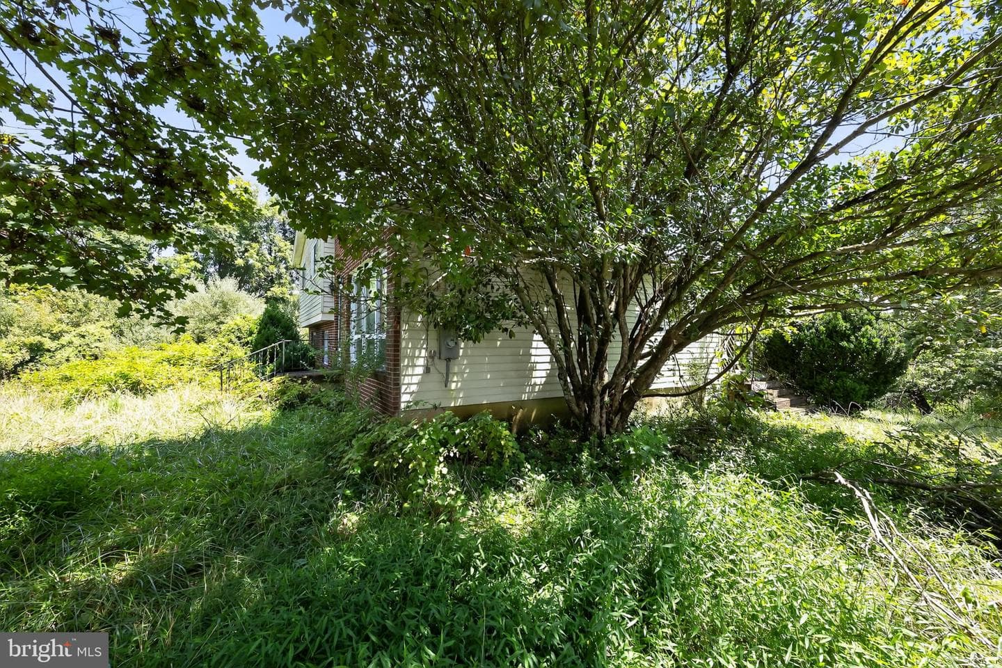 115 Grandview Drive photo 4