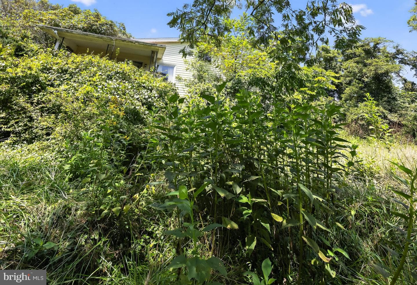 115 Grandview Drive photo 9