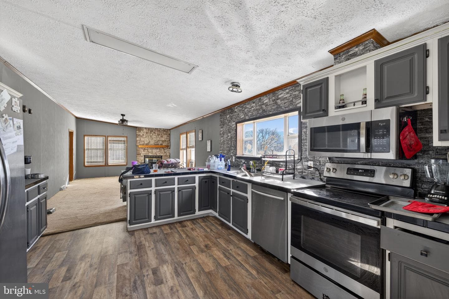 355 Clan Alpine Way photo 12