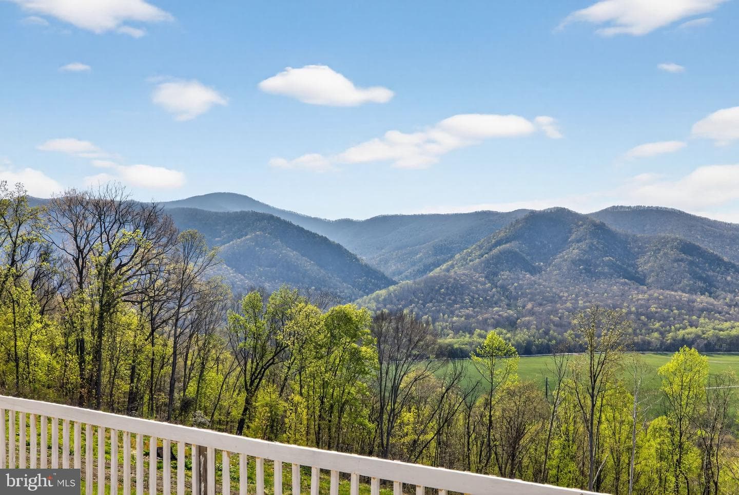 355 Clan Alpine Way photo 4