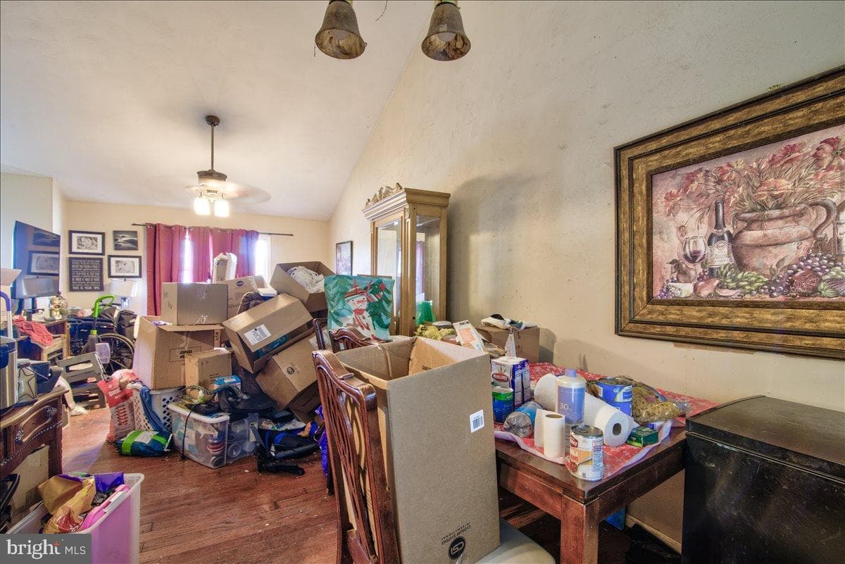 344 Elm Street photo 12