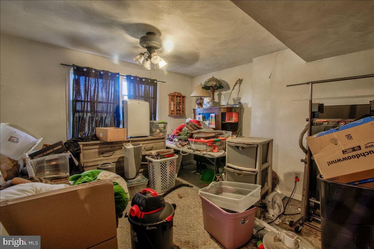 344 Elm Street photo 18