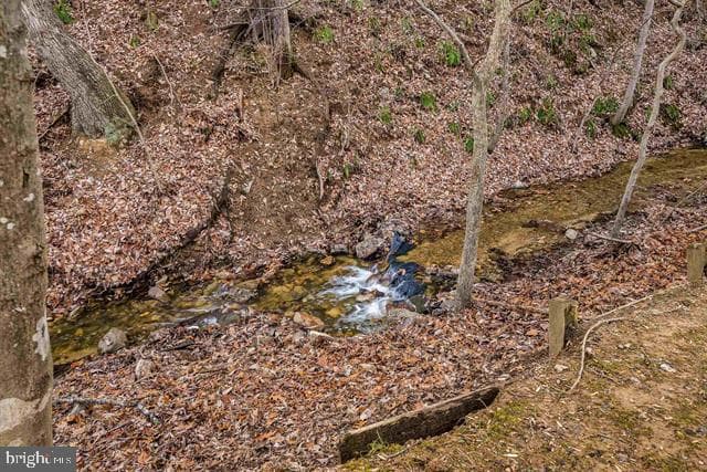 2521 Hawksbill Road photo 9
