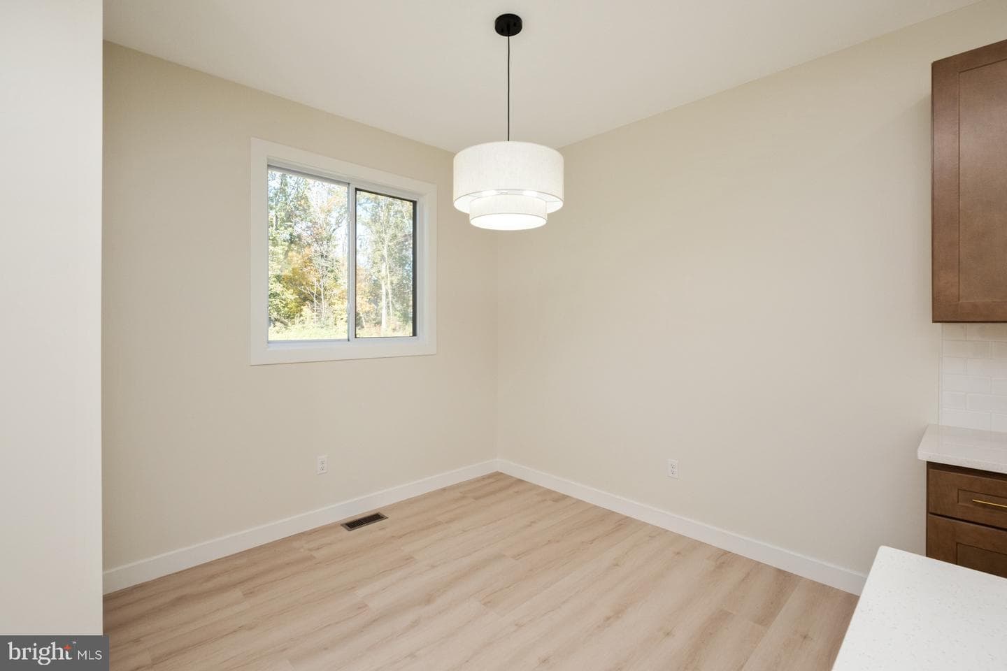 10233 Dalmatian Dr photo 11